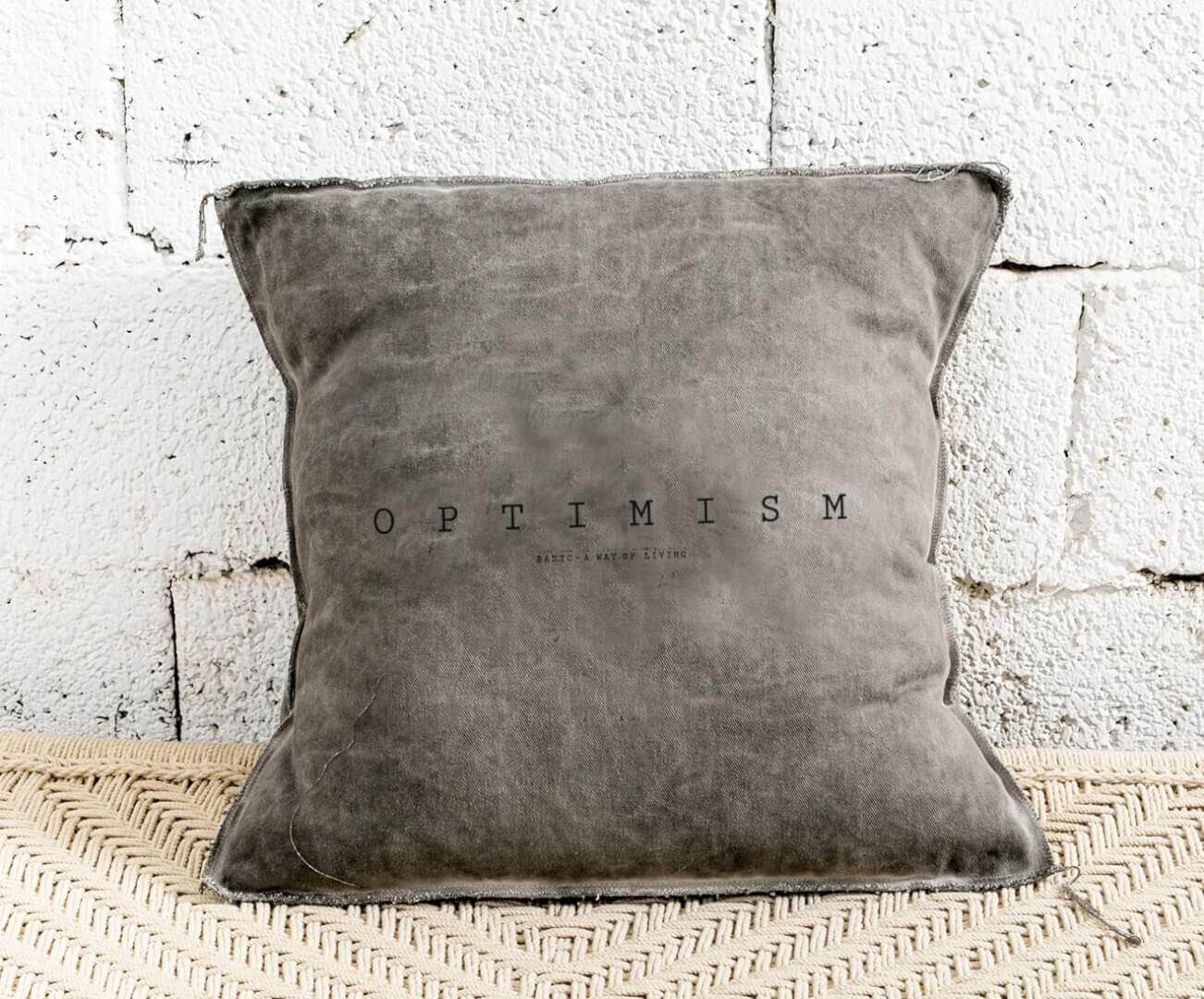 כרית נוי של בייסיק